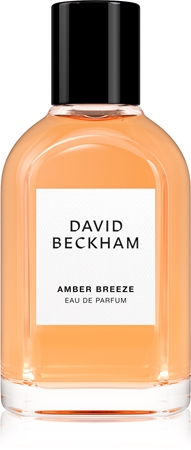 David Beckham Amber Breeze parfumska voda za moške