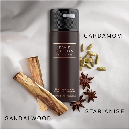 David Beckham Intimately Men deodorant ve spreji pro muže