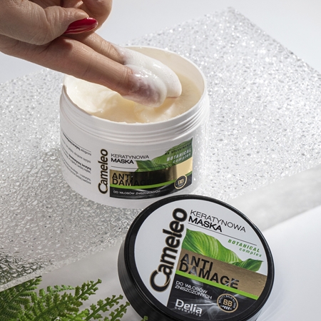 Delia Cosmetics Cameleo BB Keratin Mask for damaged hair