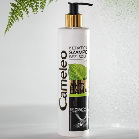Delia Cosmetics Cameleo BB Keratin Shampoo for damaged hair