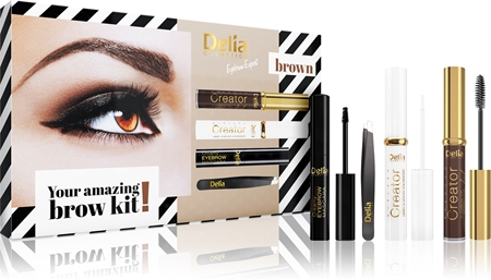 Delia Cosmetics Eyebrow Expert Brown dárková sada (na obočí)