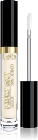 Delia Cosmetics Perfect Matt Skin Defined correcteur liquide