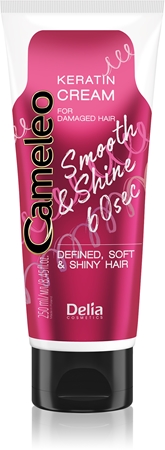 Delia Cosmetics Cameleo Smooth & Shine 60 sec Haarcreme für glänzendes und geschmeidiges Haar