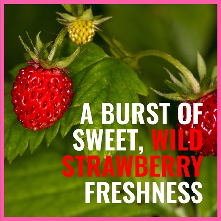 Dermacol Aroma Moment Wild Strawberries Verfrissende Douchegel Travelpack
