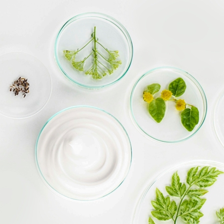 Diadermine Lift+ Botology Anti-Wrinkle Day Cream
