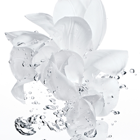 DIOR Hydra Life Sérum Tonifiant & Régénérant aqua sérum hydratation intense