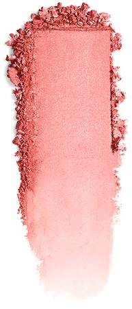 DIOR Rouge Blush róż w kompakcie, pędzel i lusterko