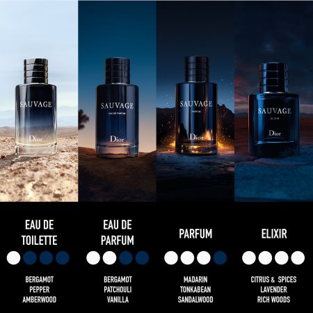 DEODORANTE PER AUTO ISPIRATO AL PROFUMO DIOR SAUVAGE