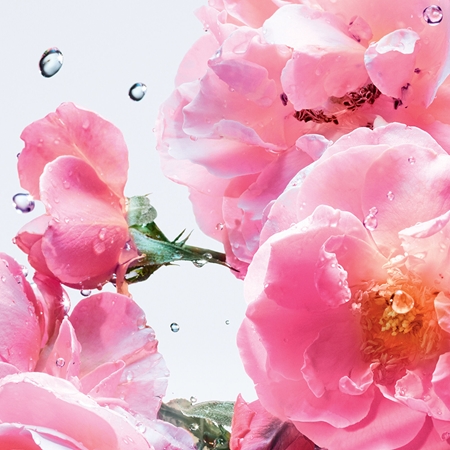 DIOR Miss Dior Rose N'Roses Roller-Pearl Eau de Toilette roll-on da donna