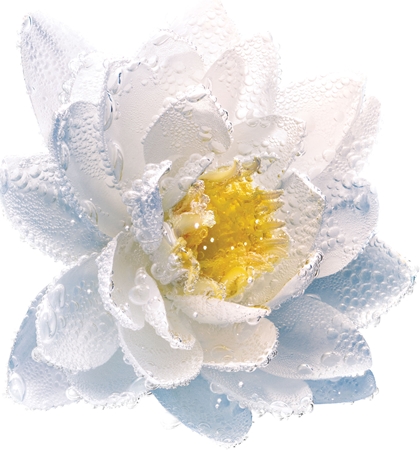 DIOR Le Lait Démaquillant lait micellaire purifiant