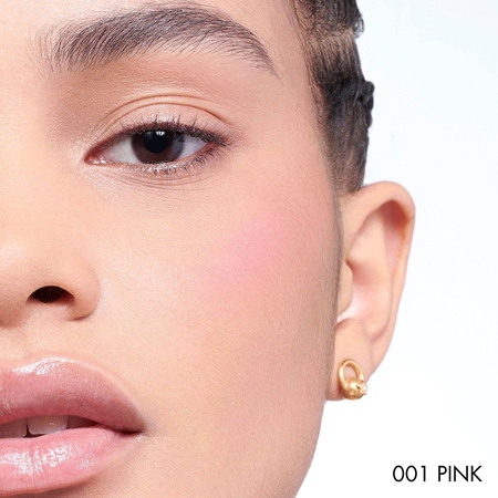 Dior blush shop