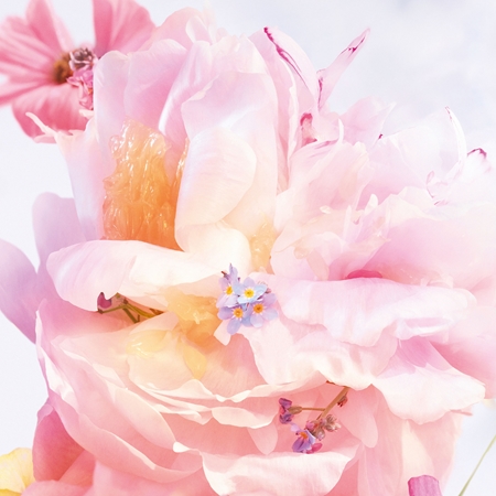 DIOR Miss Dior Blooming Bouquet Mini Miss festes parfüm für Damen