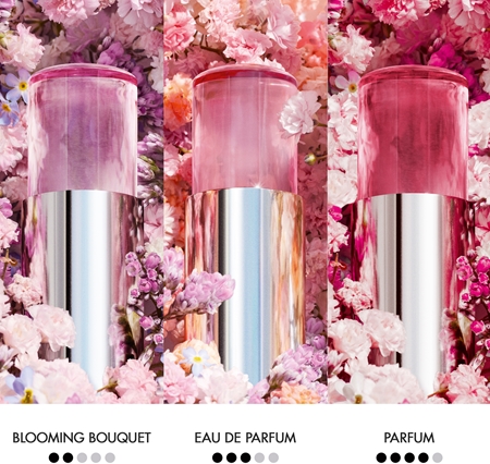 DIOR Miss Dior Blooming Bouquet Mini Miss festes parfüm für Damen