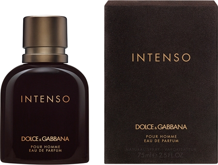 Dolce Gabbana Pour Homme Intenso eau de parfum for men notino