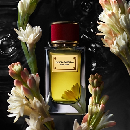 Dolce&Gabbana Velvet Desire Eau de Parfum parfumovaná voda unisex