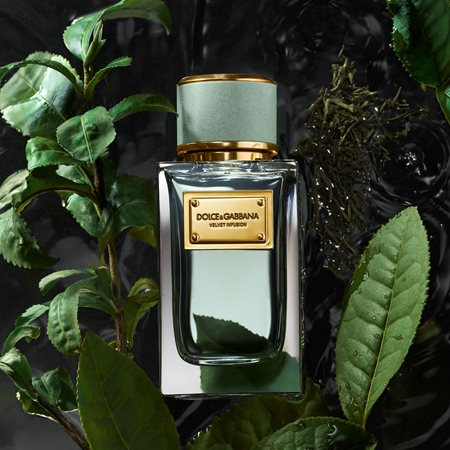 Dolce&Gabbana Velvet Infusion Eau de Parfum Smaržūdens (EDP) abiem dzimumiem