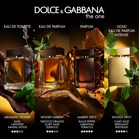 Dolce&Gabbana The One For Men Parfum parfum voor Mannen