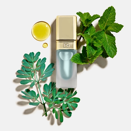 Dolce&Gabbana Fresh Mint Oil Lip Plumper olejový lesk na rty pro zvětšení objemu