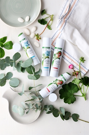 Dove Powered by Plants Eucalyptus αποσμητικό σε σπρέι