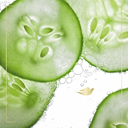 Dove Go Fresh Fresh Touch nourishing shower gel