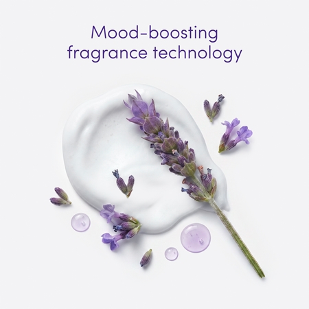Dove French Lavender & Oat Milk French Lavender & Oak Milk Αφροντούς