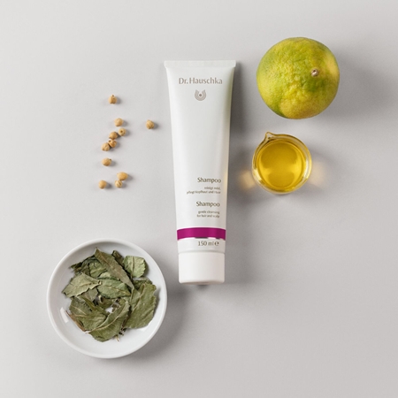 Dr. Hauschka Hair Care Shampoo Gentle Shampoo