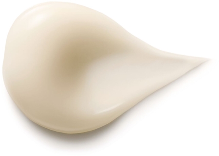 Dr. Hauschka Hair Care Conditioner Gentle Conditioner for shiny and soft hair
