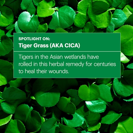 Dr. Jart+ Cicapair™ Tiger Grass Camo Drops SPF 35 Light Tinting Fluid