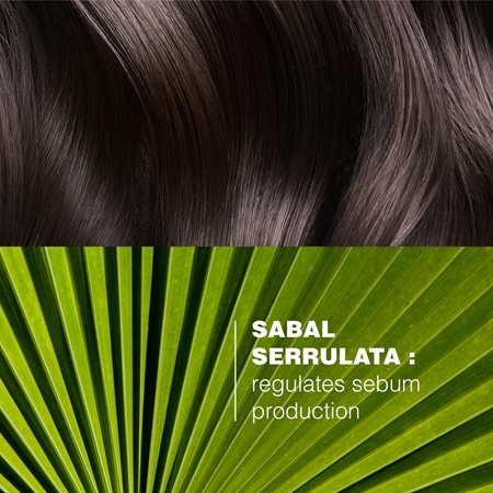 Ducray Sabal shampoo trattante per la regolazione del sebo
