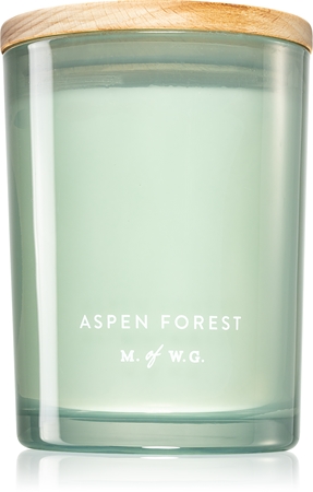 Makers of Wax Goods Aspen Forest ароматна свещ
