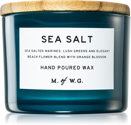 Makers of Wax Goods Sea Salt Marine scented candle