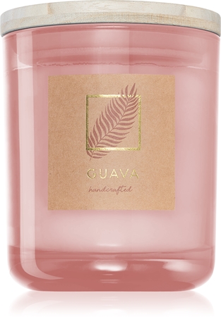 DW Home Tropic Guava candela profumata