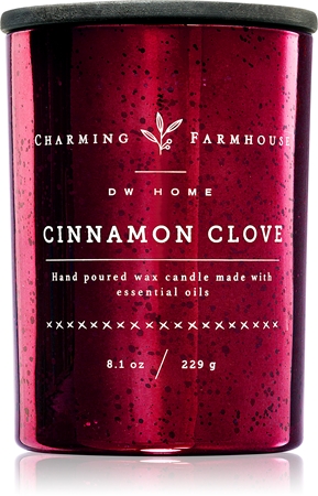DW Home Charming Farmhouse Cinnamon Clove scented candle