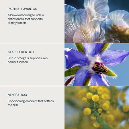 Elemis Pro-Collagen Marine Oil óleo facial antirrugas