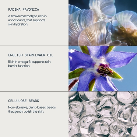 Elemis Pro-Collagen Skin Protection ενυδατικό προστατευτικό υγρό ενάντια στη γήρανση της επιδερμίδας