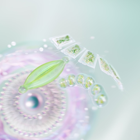 Elemis Pro-Collagen Future Restore Serum zpevňující sérum pro rozjasnění pleti