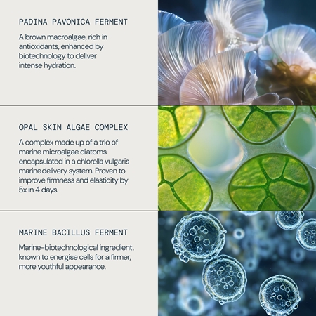 Elemis Pro-Collagen Future Restore Serum Firming Serum with a brightening effect