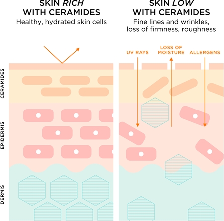 Elizabeth Arden Ceramide s Advanced Ceramide Sérum Quotidien Rénovateur de Jeunesse