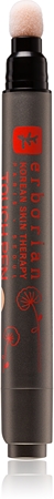 Erborian Touch Pen Illuminating Concealer in Pen