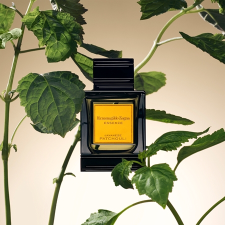 Ermenegildo Zegna Javanese Patchouli Eau de Parfum pour homme