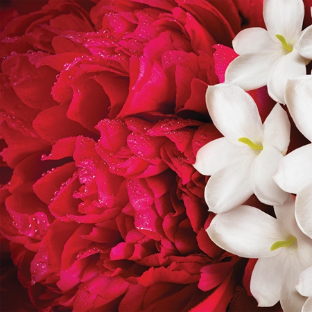 Escada Yum Me! Blossom Body & Hair Mist kvapioji dulksna kūnui ir plaukams moterims