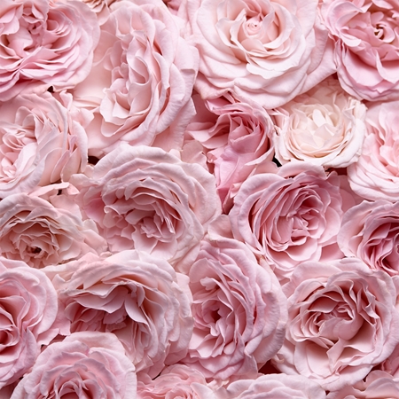 Escada Celebrate N.O.W. Eau de Parfum hölgyeknek
