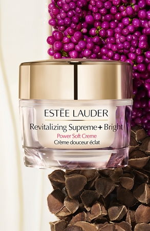 Estée Lauder