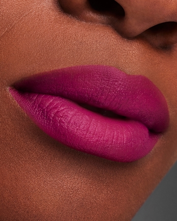 Estée Lauder Pure Color Matte Lipstick ruj cu persistență îndelungată cu efect mat