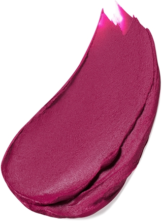 Estée Lauder Pure Color Matte Lipstick ruj cu persistență îndelungată cu efect mat