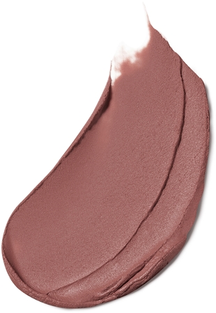 Estée Lauder Pure Color Matte Lipstick langanhaltender Lippenstift mit mattierendem Effekt