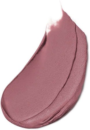 Estée Lauder Pure Color Matte Lipstick itin matiniai ilgai išliekantys lūpų dažai