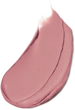 Estée Lauder Pure Color Matte Lipstick itin matiniai ilgai išliekantys lūpų dažai