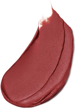 Estée Lauder Pure Color Matte Lipstick itin matiniai ilgai išliekantys lūpų dažai