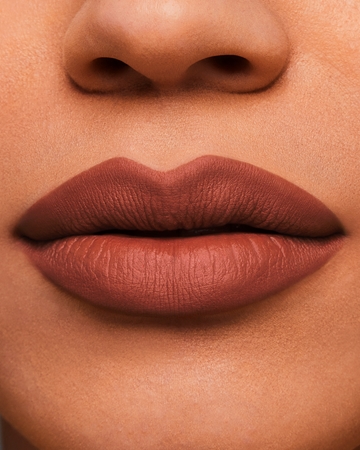 Estée Lauder Pure Color Matte Lipstick dlouhotrvající rtěnka s matným efektem